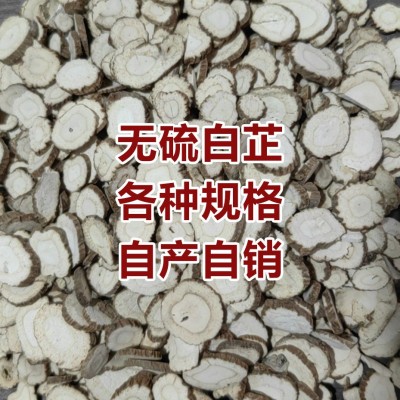 【无硫白芷】白芷片白芷个不熏硫 各种规格药厂货中药材大货供应