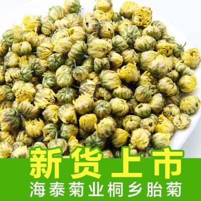 新货桐乡胎菊花茶散装杭白菊花果茶批发菊花 胎菊散装厂家直销