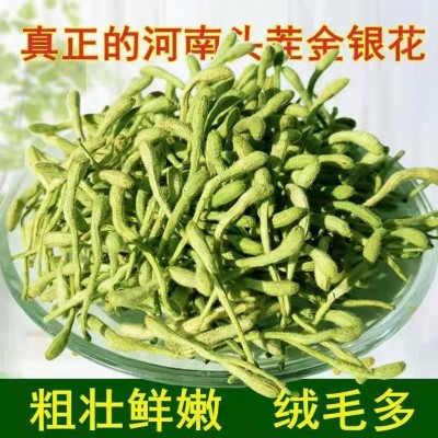 厂家批发散装100g金银花茶 精选新货无硫金银花茶 带绒毛金银花茶