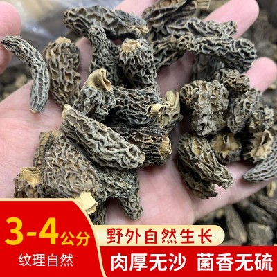 云南楷美ye生羊肚菌菌菇干货2~4cm全剪柄厚肉高原羊肚菌干货