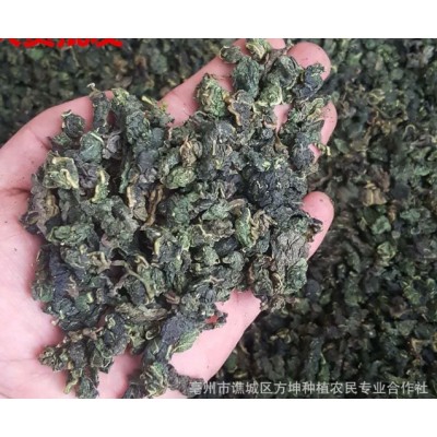 新货桑叶产地货源 霜后桑叶茶 颗粒状颜色青散装批发花草茶实拍