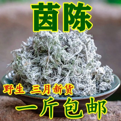 茵陈草整颗 500g包邮白蒿 新鲜晒干绵茵陈棉茵陈茶50g