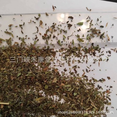 留兰香薄荷茶 Chinese herb spearmint leaf tea bag皱叶留兰香