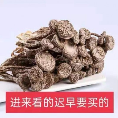 粗条鹿茸菇 大条粗条鹿茸菌菇汤包煲汤料包古田产地干货批发