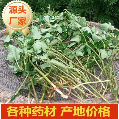 厂家源头批发无硫鱼腥草干500g 各种规格支持定制