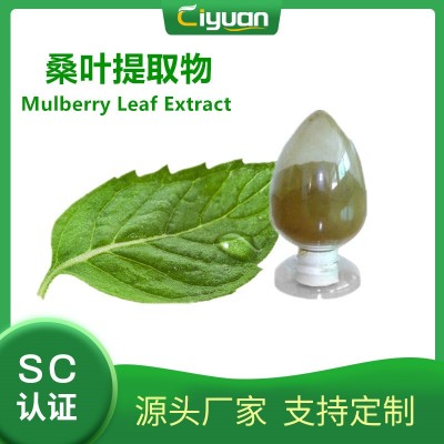 桑叶黄酮8% 醇提桑叶提取物 mulberry leaf extract