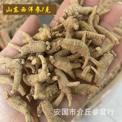 山东西洋参粒头大货批发整根花旗参1克原丛一斤参段 散装现货直供