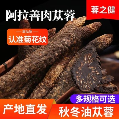 产地直发阿拉善肉苁蓉锁阳内蒙古整根切片批发零售秋季油苁蓉泡酒