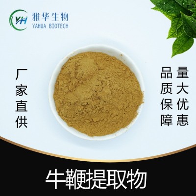 牛鞭提取物10:1 雅华生物 牛肾 牛鞭粉 牛鞭肽粉 水溶性 现货