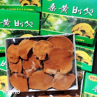 北朝鲜。桑黄野生500g 野生灵芝 桑黄 礼盒装包邮包邮