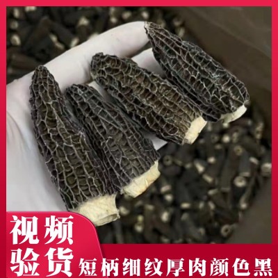 云南特产头茬羊肚菌新鲜剪柄食用蘑菇干货包装大量批发250 克一件