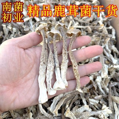 鹿茸菌菇干货 大量批发价格低一斤装整件5公斤山珍美食农产品