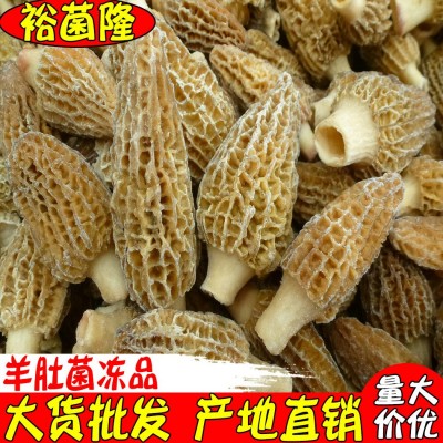 【裕菌隆】羊肚菌 酒店冻品山珍羊肚菌肉质厚嫩 美味羊肚菌批发