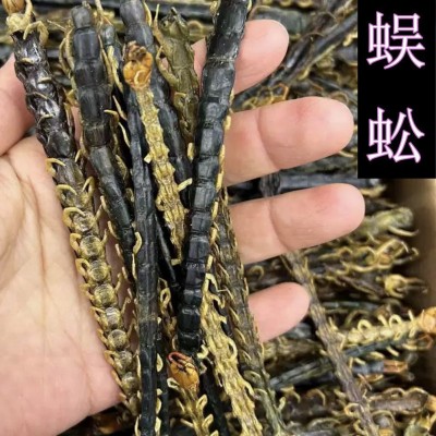 批发中药材 蜈蚣 10厘米/条蜈蚣 蜈蚣多种规格实物拍摄