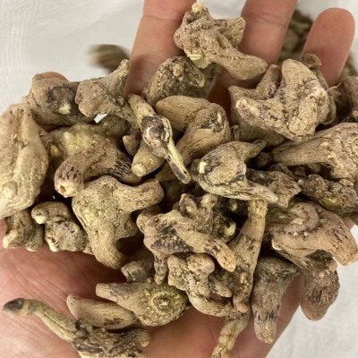 白芨中药材四川白芨500克别名连及草甘根白给箬兰朱兰紫兰紫蕙百