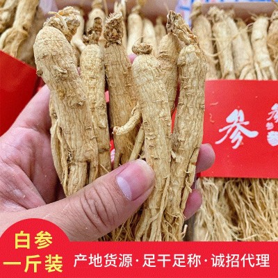 干人参 整支长白山人参生晒参带须整枝白参500g6年生晒参煲汤人参